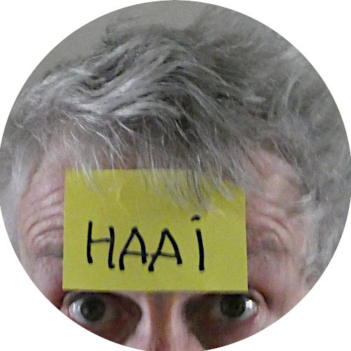 Haai